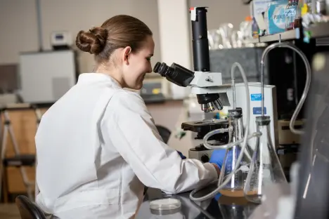 Student in microbiology lab using microscope