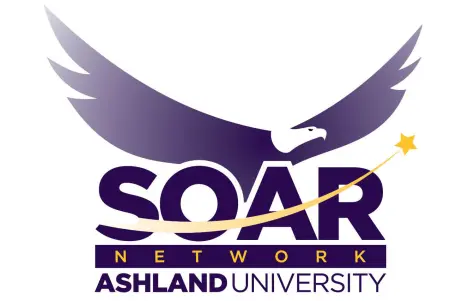 SOAR Network logo